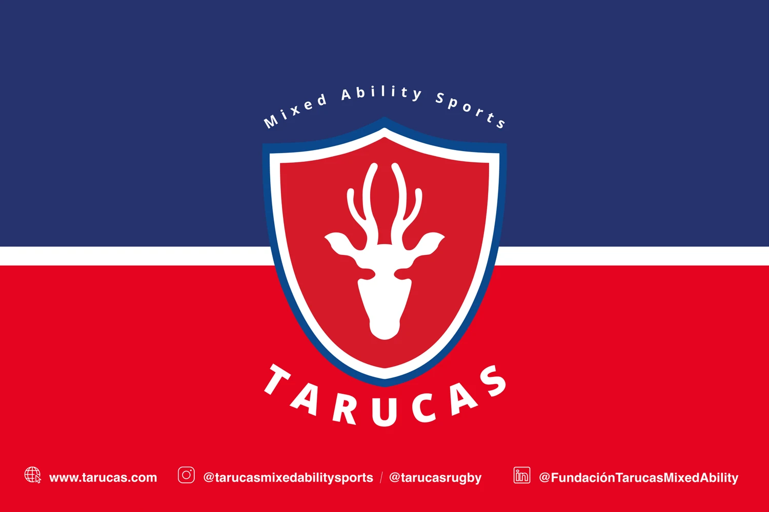 Pieza gráfica de identidad de Fundación Tarucas