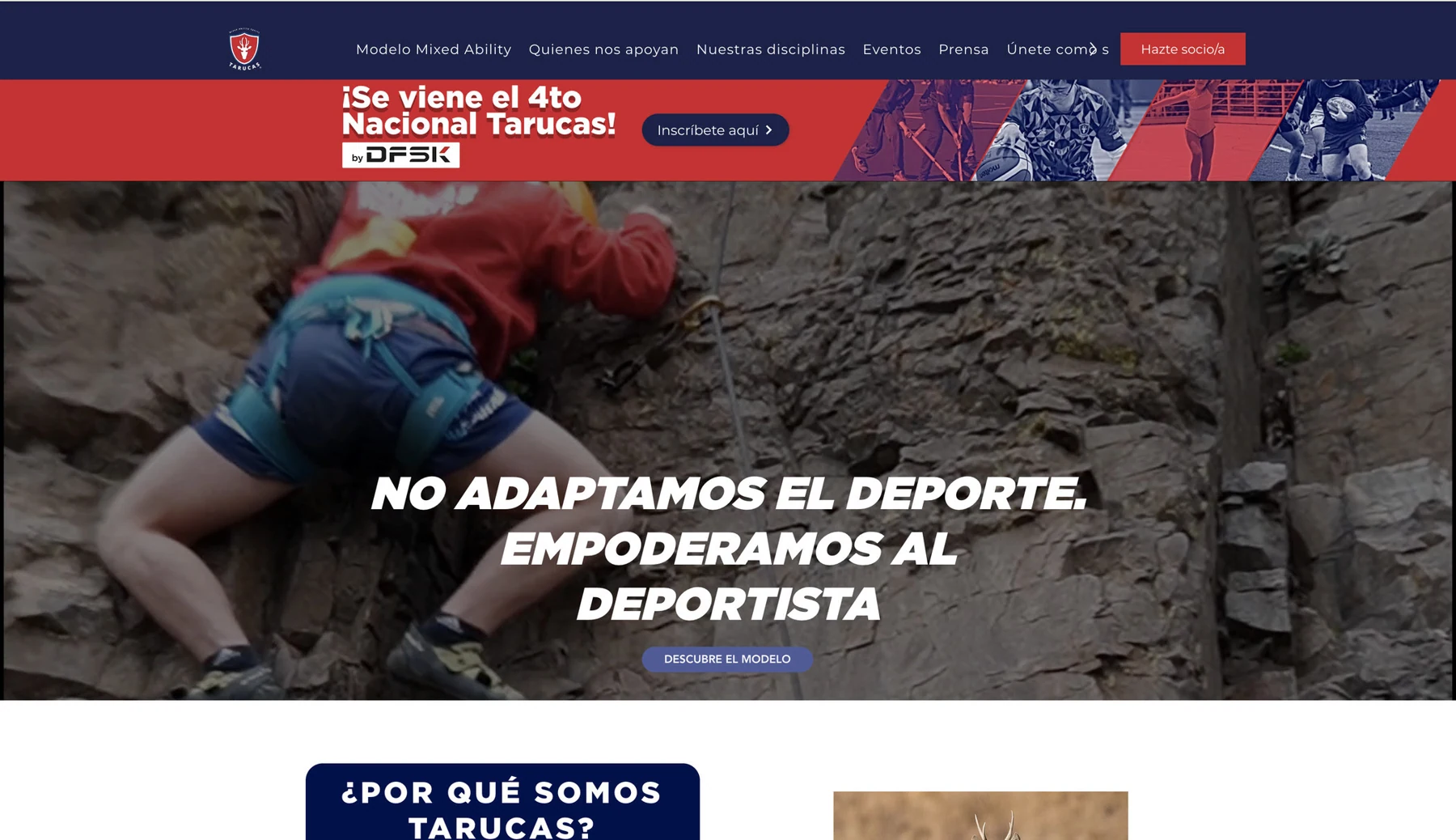 Sitio web y comunicación institucional de Fundación Tarucas